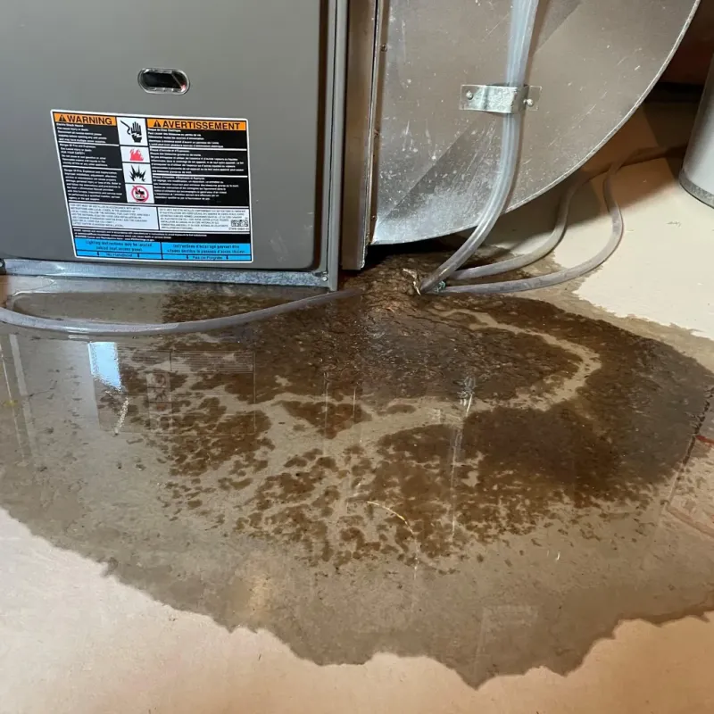 Appliance Leak Cleanup in Park City, UT